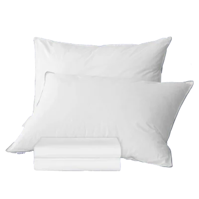 2x Hotel Pillows (Basics - USA)