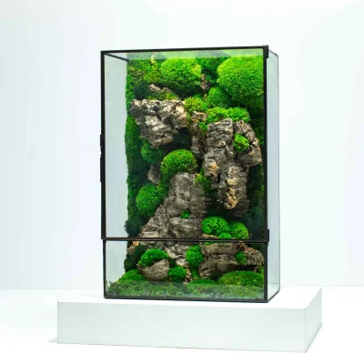 Moss Box
