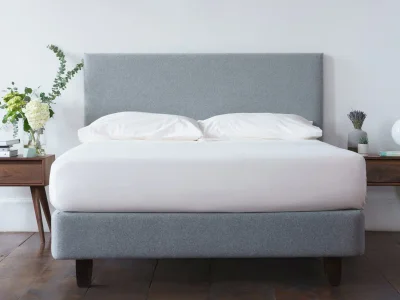Organic Cotton Sheet Set