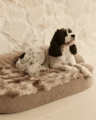 SpineAlign™ Dream Bed
