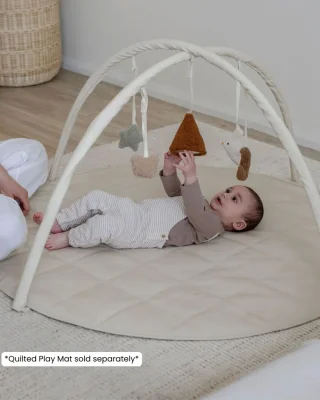 Baby Play Gym Bars & Toys