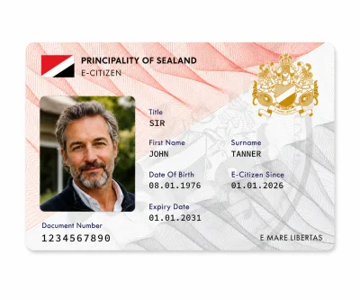 E-Citizenship