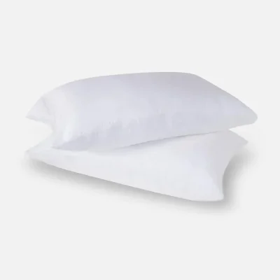 Eucalyptus Silk Pillow Cases - 2 Pack