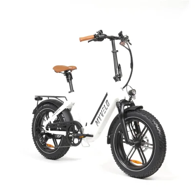 Ipanema Elektro-Klapprad + Tragetasche