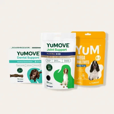 Senior Dog Bundle