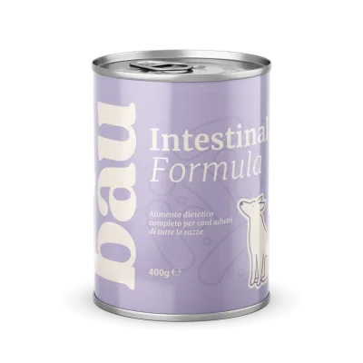 Patè Intestinal Formula per cani adulti