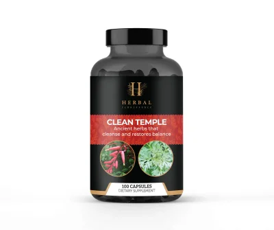 Clean Temple