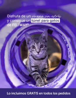 Regalo - Túnel FELIWAY