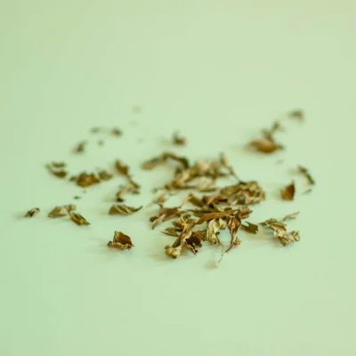 Menthe des champs, feuille