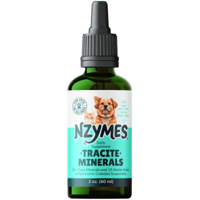 Nzymes Tracite-Minerals