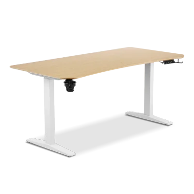 [Mid Year Sale] TTRacing Titus X Smart Standing Desk - Oak