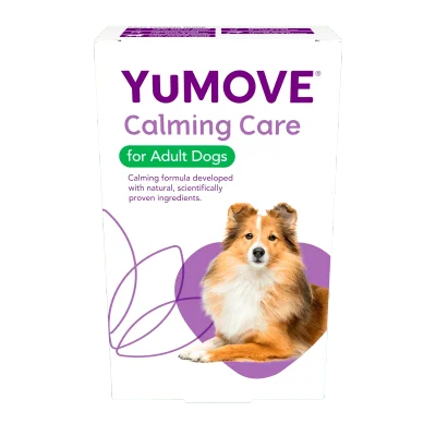Calming Care for Adult Dogs