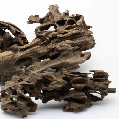 Honeycomb Dragon Wood Pieces 10-20cm