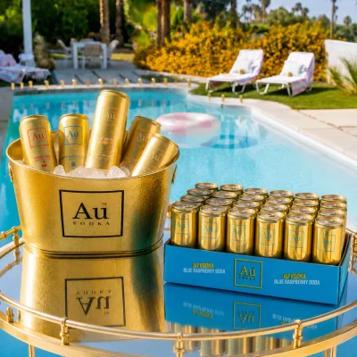 Cocktail Can 24 Pack & FREE Au Ice Bucket