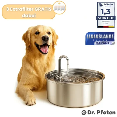 AquaFlow™ - Der antibakterielle Trinkbrunnen mit Filtration