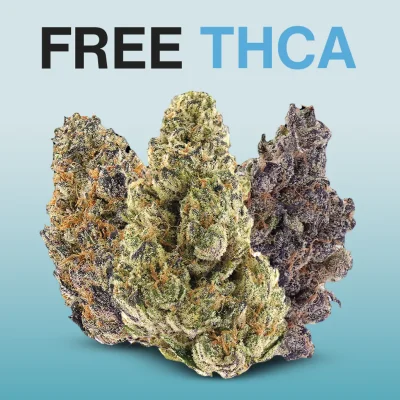 Free THCa Flower