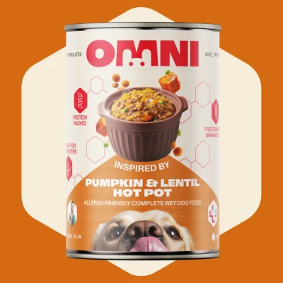 Pumpkin & Lentil Hot Pot