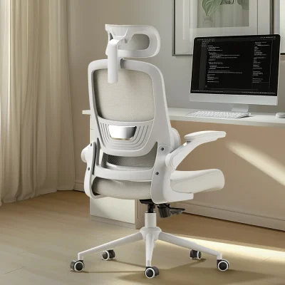 HBADA P1 Ergonomic Office Chair