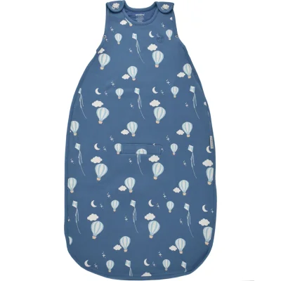 4 Season Ultimate Toddler Sleep Bag, Merino Wool & Organic Cotton, 2 - 4 Years, Hot Air Balloon