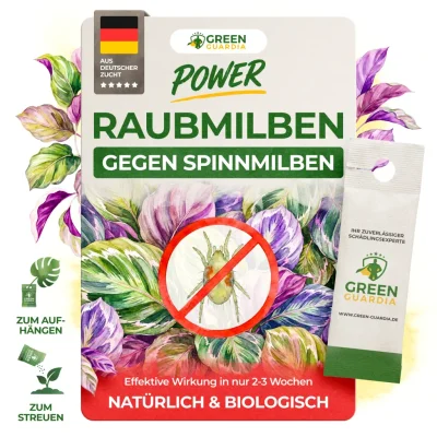 Raubmilben gegen Spinnmilben