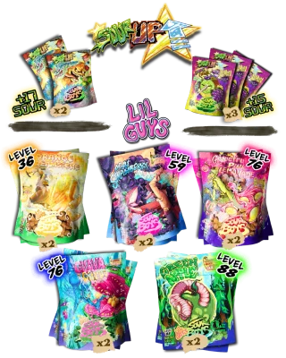 The Starter Bundle