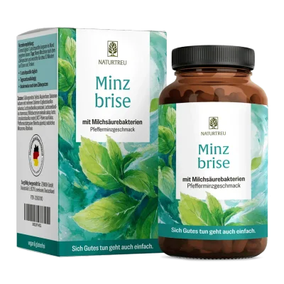 Minzbrise mit Milchsäurebakterien