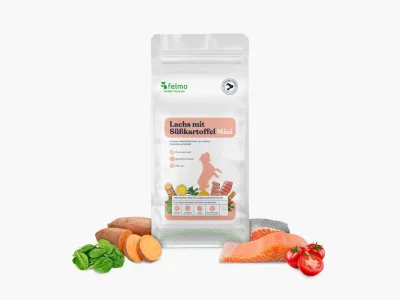 Trockenfutter mit Lachs & Süßkartoffel für kleine Hunde