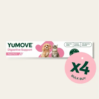 Digestive Support Rapid Paste for Dogs & Cats (Bulk)
