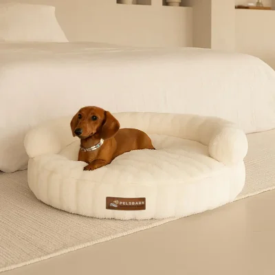 New: The Science of Canine Comfort