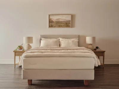 Deluxe Organic Mattress