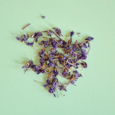 Épilobe, fleur