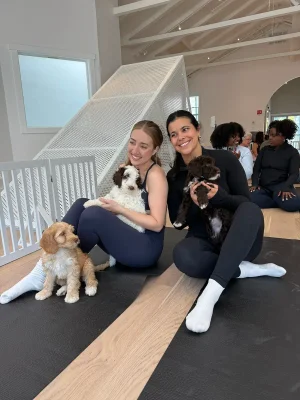 San Francisco Puppy Yoga