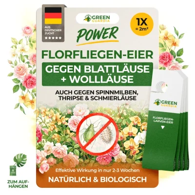 Florfliegeneier gegen Blattläuse, Wollläuse