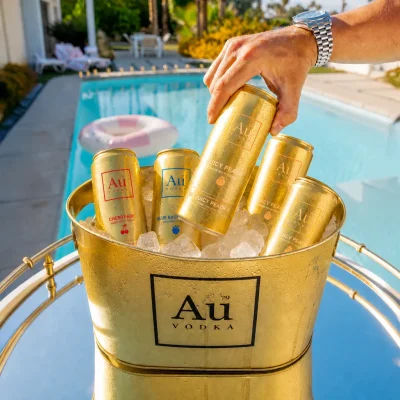 Au Gold Ice Bucket 10L