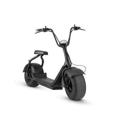 E-Roller Schwarz Matt – TWHEELS