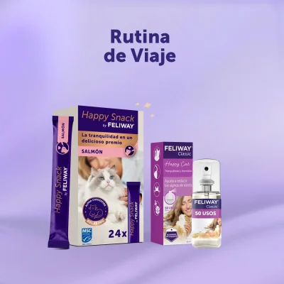 Rutina de Viaje - Salmón x24