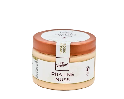Premium-Eis Praline-Nuss