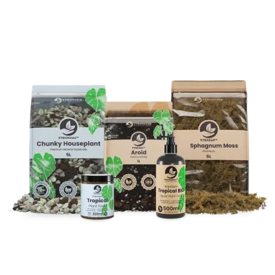 Sybotanica B2B Sample Box