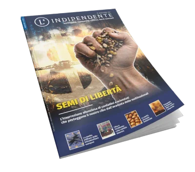 Semi di libertà - n° 13