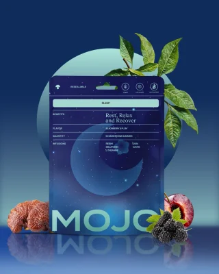 Mojo Sleep Gummies - 90 Gummy Pack