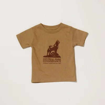 Core Collection Toddler T-shirt