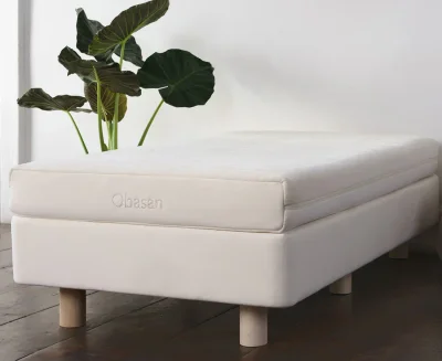 Organic Kids Mattress