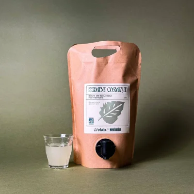 Sève de bouleau fermentée – 1.5 L