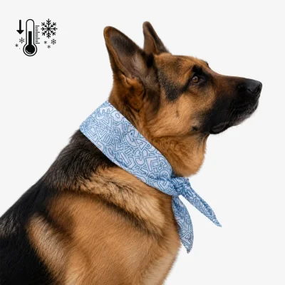 Kühlendes Halstuch Hund – Kühl-Bandana für heiße Sommertage