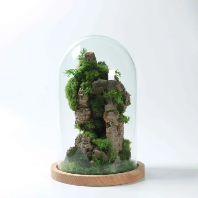 Cloche