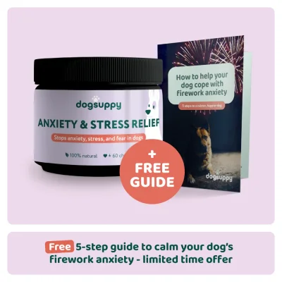Anxiety & Stress Relief