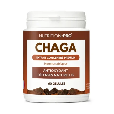 CHAGA - 60 GÉLULES