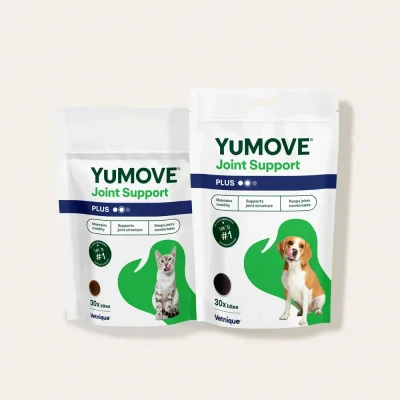Dog & Cat Bundle