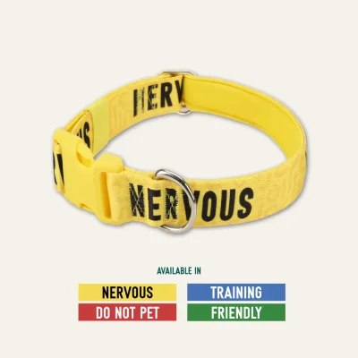 Awareness Collar