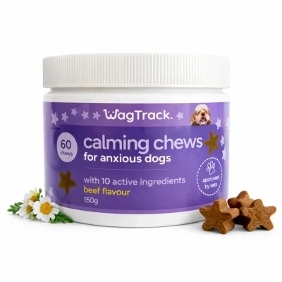 Calming Soft Chews for Dogs – Non-Drowsy, Vet-Formulated (60 Chews)